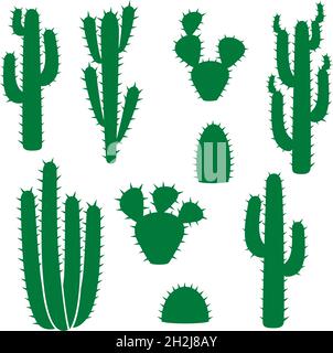 Illustration du vecteur Cactus Illustration de Vecteur