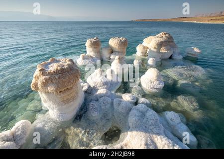 Slat cristallisé rochers le long des rives de la Mer Morte, en Israël. Banque D'Images