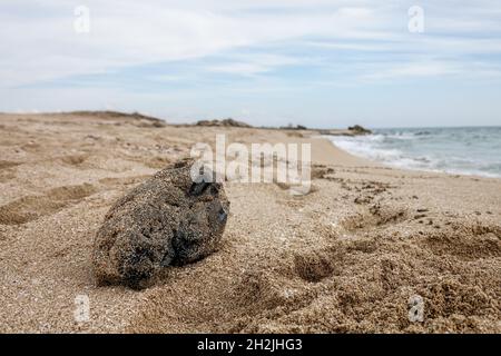 Un bloc de goudron noir sur la plage.Résidus du traitement des hydrocarbures.Il y a un énorme problème écologique dans la mer Méditerranée. Banque D'Images