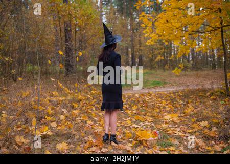 Une belle jeune femme en costume sorcière marche à travers la forêt d'automne.Vue arrière. Banque D'Images