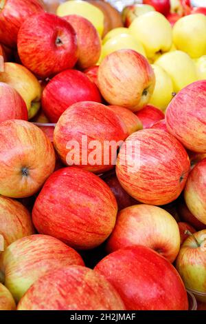 Belles pommes rayées rouges et jaunes gros plan, image verticale. Banque D'Images