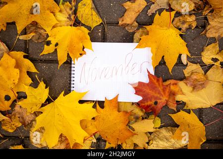 le bloc-notes avec inscription de novembre se trouve dans les feuilles d'automne sur la piste de tuiles topview Banque D'Images