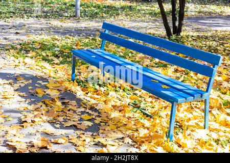 vider le banc bleu sur la pelouse couverte de feuilles mortes du parc de la ville le jour ensoleillé de l'automne Banque D'Images