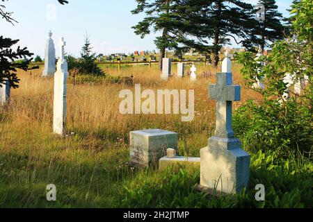 Un ancien cimetière, surcultivé et abandonné, de l'autre côté de la rue, d'un nouveau cimetière bien entretenu. Banque D'Images