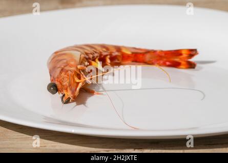 Crevettes géantes fraîches sur une assiette blanche. Banque D'Images