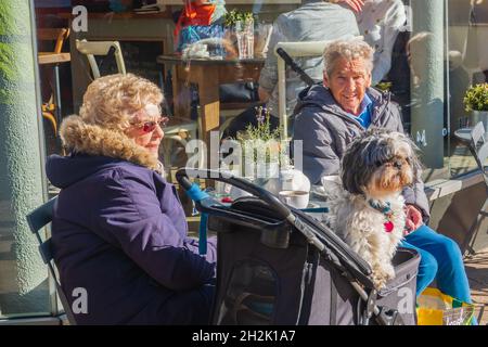 21.10.21 Ormskirk, Lancashire, Royaume-Uni.Deux femmes s'assoient à l'extérieur d'un café le jour du marché à Ormskirk tandis que l'attention de leurs chiens est dirigée ailleurs Banque D'Images