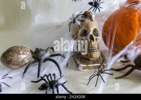 décoration et concept de vacances, thème d'halloween, citrouille d'orange et crâne enveloppés dans toile d'araignée, attaque d'araignée, fête d'halloween Banque D'Images