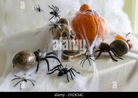 décoration et concept de vacances, thème d'halloween, citrouille d'orange et crâne enveloppés dans toile d'araignée, attaque d'araignée, fête d'halloween Banque D'Images