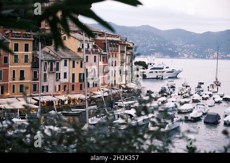 Vue sur le port de Portofino, avec ses bateaux et ses maisons aux couleurs pastel de la montagne, au milieu des arbres et des feuilles Banque D'Images