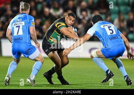 Northampton, Royaume-Uni.22 octobre 2021.Sam Matavesi de Northampton Saintsin, le 10/22/2021.(Photo de Craig Thomas/News Images/Sipa USA) crédit: SIPA USA/Alay Live News crédit: SIPA USA/Alay Live News Banque D'Images