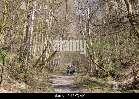 Couple avec des chiens marchant le long du chemin de fer de la branche de Rishworth, Sowerby Bridge, West Yorkshire Banque D'Images