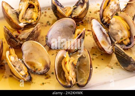 Ragoût de palourdes dans leurs coquilles cuisinées avec une recette de fruits de mer servi dans un restaurant de tapas espagnol sur une assiette en porcelaine blanche Banque D'Images