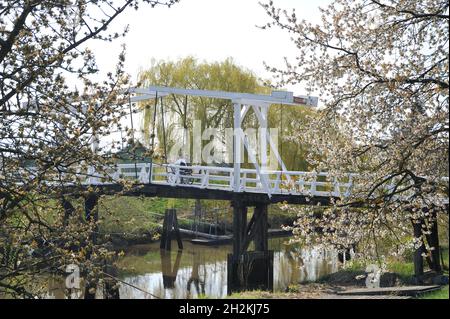 Hogendiekbrücke Fußgängerbrücke, über die Lühe, Steinkirchen, Landkreis Stade, Allemagne Banque D'Images