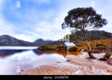 Gommage solitaire et hangar à bateaux sur la plage de quartz du lac Dove au parc national de Cradle Mountain en Tasmanie, en Australie. Banque D'Images