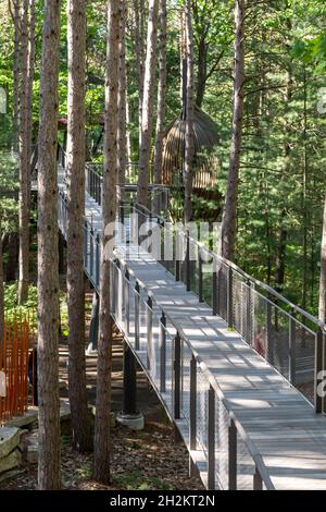 Midland, Michigan - The Canopy Walk à Dow Gardens.La promenade est de 40 pieds au-dessus du sol et de 1,400 pieds de long.C'est la forêt Whiting de Dow Gardens. Banque D'Images