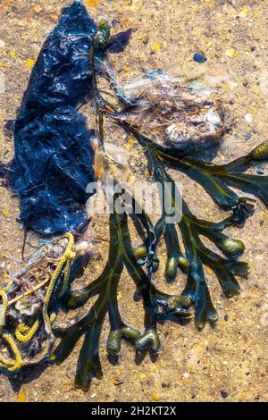 Flotsam et Jetsam se sont emportés sur la plage Whitstable Banque D'Images