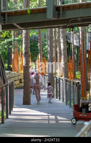 Midland, Michigan - The Canopy Walk à Dow Gardens.La promenade est de 40 pieds au-dessus du sol et de 1,400 pieds de long.C'est la forêt Whiting de Dow Gardens. Banque D'Images