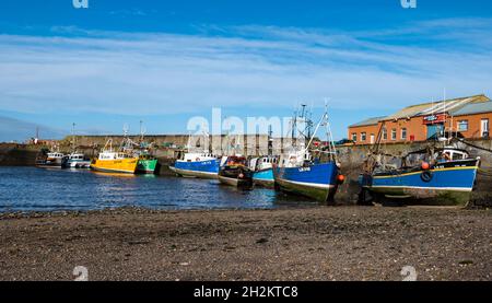 Des bateaux de pêche amarrés le long du quai par beau temps, port de Port Setong, East Lothian, Écosse, Royaume-Uni Banque D'Images