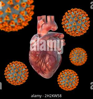 Virus Covid-19 affectant le cœur, illustration Banque D'Images