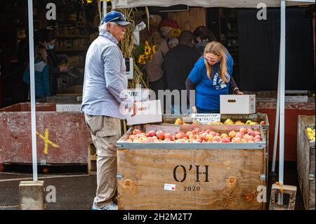 Un homme et une femme choisissent des pommes de lune de miel au High Hill Ranch, dans les contreforts de la Sierra Nevada, dans la région d'Apple Hill. Banque D'Images