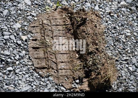 Traces de pneu dans la boue sur une route de ciment. Banque D'Images