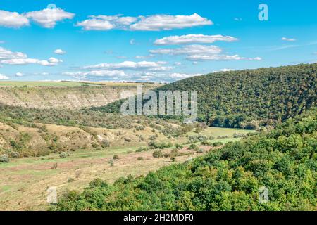 Paysage de collines verdoyantes .Croissance de la forêt de printemps .Paysage naturel Banque D'Images