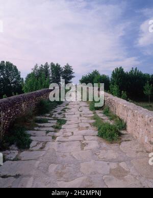 PUENTE ROMANO DE TALAMANCA DEL JARAMA - CALZADA DEL PUENTE ROMANO.Emplacement : EXTÉRIEUR.TALAMANCA DEL JARAMA.MADRID.ESPAGNE. Banque D'Images