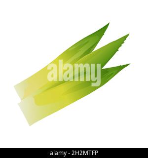 feuilles d'ananas isolées sur fond blanc Banque D'Images