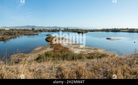 Vue panoramique du Parc Naturel de Guadalhorce. Oiseau de masquer ou d'aveugles. L'hiver, l'Andalousie, Malaga, Espagne. Banque D'Images