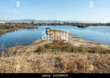 Vue panoramique du Parc Naturel de Guadalhorce. Oiseau de masquer ou d'aveugles. L'hiver, l'Andalousie, Malaga, Espagne. Banque D'Images