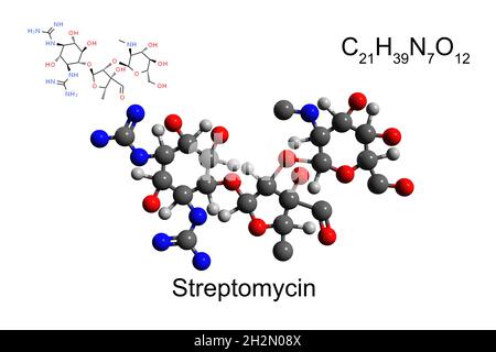 Formule chimique, formule structurale et modèle bille-bâton 2D de l'aminoglycoside antibiotique streptomycine, fond blanc Banque D'Images