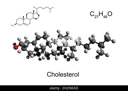 Formule chimique, formule squelettique et modèle 3D boule-et-bâton de cholestérol, fond blanc Banque D'Images