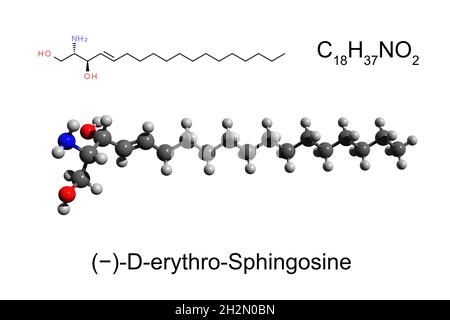 Formule chimique, formule squelettique et modèle boule-et-bâton 3D de (−)-D-érythro-Sphingosine, une composante primaire des sphingolipides, fond blanc Banque D'Images