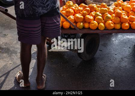 Homme tirant chariot plein d'oranges jaunes à vendre à la foire de Sao Joaquim.Salvador, Bahia, Brésil. Banque D'Images