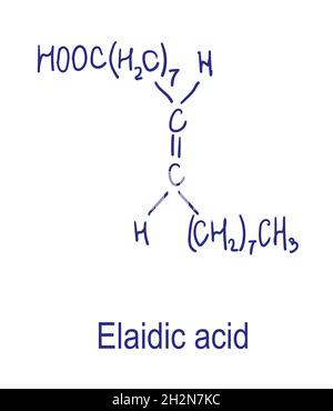 Structure chimique de l'acide Elaïdique.Illustration vectorielle dessinée à la main Illustration de Vecteur