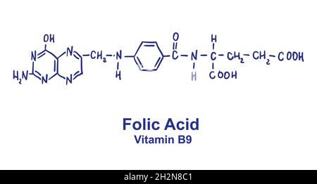 Structure chimique de l'acide folique.Illustration vectorielle dessinée à la main. Illustration de Vecteur