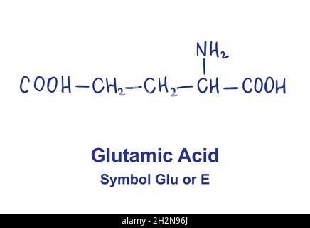 Structure chimique de l'aside de de glutamine.Illustration vectorielle dessinée à la main Illustration de Vecteur