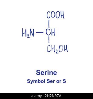 Structure chimique de la sérine.Illustration vectorielle dessinée à la main Illustration de Vecteur
