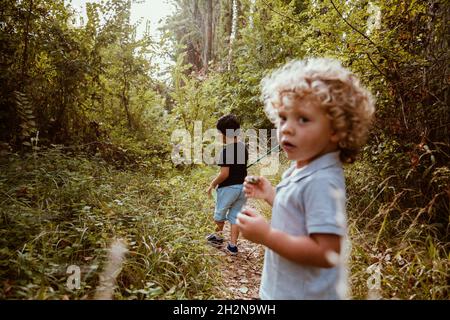 Des garçons insouciants qui marchent dans la forêt Banque D'Images