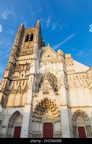 France, département de l'Yonne, Auxerre, rive de l'Yonne en été avec promenade à tréeled et cathédrale d'Auxerre en arrière-plan Banque D'Images