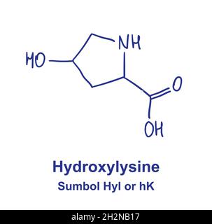 Structure chimique de l'hydroxylysine.Illustration vectorielle dessinée à la main Illustration de Vecteur