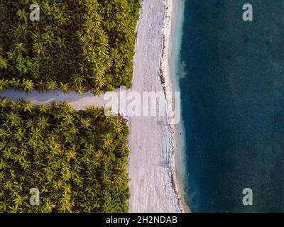 Maldives, Meemu Atoll, Veyvah, vue aérienne des palmiers et plage de sable de la petite île dans l'océan Indien Banque D'Images