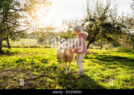 Jolie fille de moutons à la ferme Banque D'Images