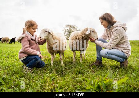 Femme souriante et fille qui a fait des moutons sur de l'herbe verte à la ferme Banque D'Images