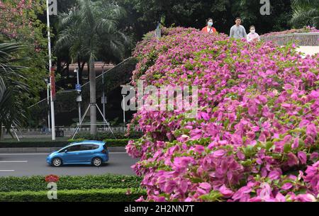 Nanning, région autonome du Guangxi Zhuang en Chine.23 octobre 2021.Des fleurs sont visibles le long de la route à Nanning, dans la région autonome du Guangxi Zhuang, au sud de la Chine, le 23 octobre 2021.Crédit: Lu Boan/Xinhua/Alay Live News Banque D'Images