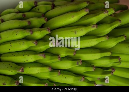 Une banane est un fruit allongé, comestible botaniquement une baie produite par plusieurs sortes de grandes plantes à fleurs herbacées. Banque D'Images