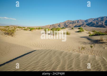 Dunes de sable et montagnes dans le parc national de la Vallée de la mort, magnifique ciel bleu sur fond Banque D'Images