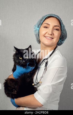 Le médecin tient et enprise un chat magnifique. Banque D'Images