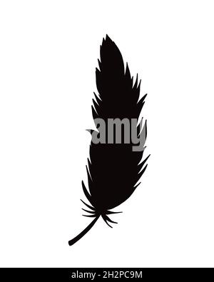 silhouette de plumes d'oiseau Banque D'Images