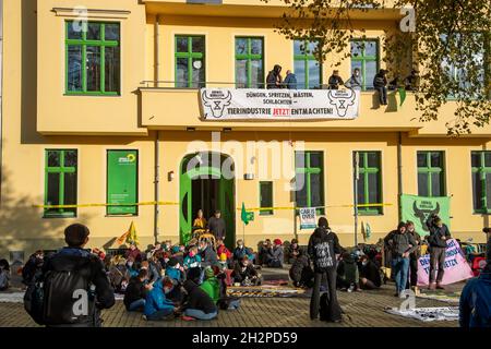 Berlin, Allemagne.23 octobre 2021.AM 23.Oktober 2021 blockierten Aktivist*innen von Animal Rebellion die Bundesgeschäftsstelle von Bündnis 90/Die Grünen.Sie fordern in Ende der Tierindustrie.Da die Grünen keine Anzeige erstatteten, se trouve die Polizei gewähren.- le 23 octobre, 2021 activistes de la rébellion animale ont occupé le QG des verts.Ils exigent la fin du stock industriel réel.Comme le parti vert n'a pas déposé de plainte, la police n'a pas pris d'action.(Photo par Alexander Pohl/Sipa USA) crédit: SIPA USA/Alay Live News Banque D'Images